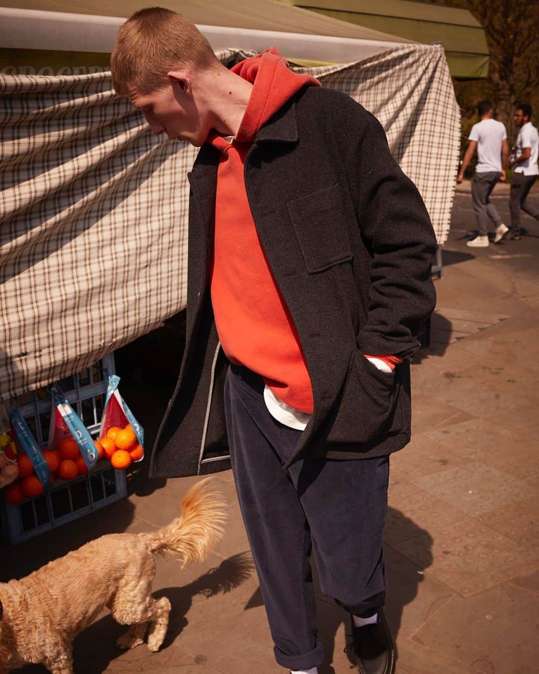 アメリカンビンテージのインスタグラム：「Street Life w/ @connornewall 🐶 #americanvintage #amvmen #menswear #fw19 #fallwinter19 #comingsoon」