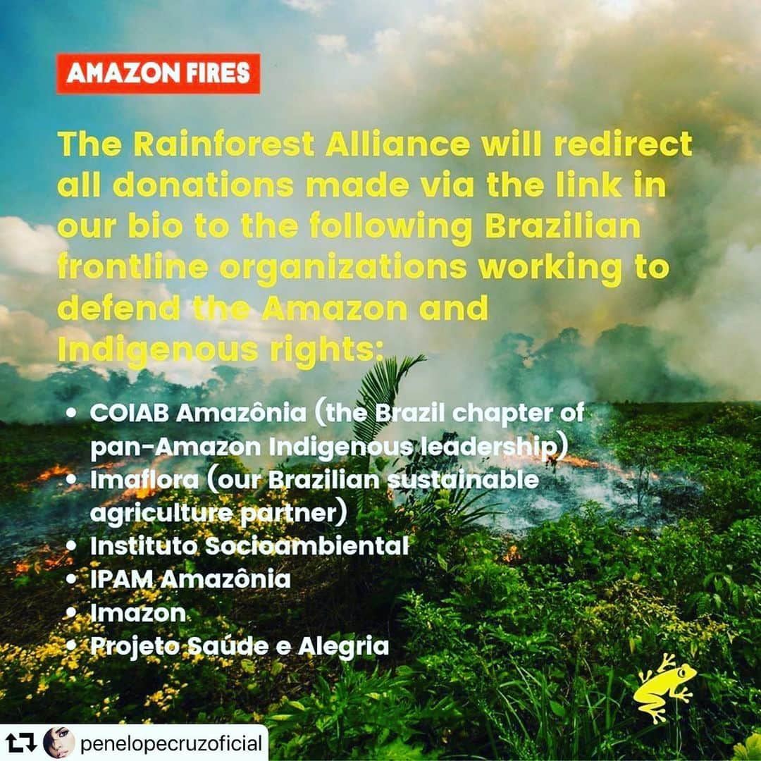 マート・アラスさんのインスタグラム写真 - (マート・アラスInstagram)「#Repost @rainforestalliance ・・・ 🚨Amazon S.O.S.🚨THANK YOU to everyone who donated in response to our post yesterday—and to all who have helped raise awareness by sharing our post. We have committed to redirect 100% of these donations to the following frontline groups working to defend the Brazilian Amazon: @coiabamazonia (Brazil chapter of our valued partner COICA, the federation of Amazon Indigenous leaders), @imaflorabrasil (our longtime sustainable agriculture partner), and @socioambiental @ipam_amazonia @imazonoficiel @saudeealegria (Brazilian organizations working to protect the Amazon and defend Indigenous rights). The fires in the Brazilian Amazon have called worldwide attention to the ongoing crisis of tropical deforestation. Although we are devastated by recent surge of fires in the Amazon, we are also heartened by the overwhelming global response to this crisis—signaling growing awareness that 1) tropical forests are a powerful “natural climate solution” we all depend on, and 2) deep concern for the rights of Indigenous people.  This photo from the Brazil-Peru border in the Amazon was taken by @mohsinkazmi in 2015. We post this older image to remind our followers that tropical deforestation is an ongoing global emergency that began in the colonial era and rages on today throughout the Amazon, Indonesia, Central America, and other regions where the Rainforest Alliance works. [In the interest of transparency: our work in the Amazon is concentrated in Peru (in the Brazil border region) and Colombia; our work in Brazil focuses on sustainable agriculture in other landscapes.] Through decades of partnership with Indigenous, forest, and farming communities throughout the tropics, we’ve learned (and scientists have confirmed) that the best defense against deforestation and natural fires = thriving, community-centered rural economies that allow people to make a decent living through sustainable activities. This approach requires deep collaboration and sustained investment over the long term—and it reaps big rewards, as seen in our previous posts about Guatemala. Let’s keep the momentum going!  #prayforamazonia #savetheamazon #r」8月23日 18時55分 - mertalas