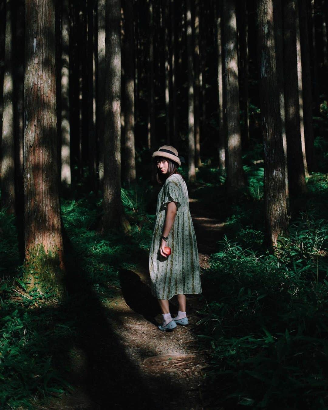 hiderin777のインスタグラム：「. . . . 迷える森🌲 . . . . #contax  #35mmf14  #distagon  #carlzeiss」
