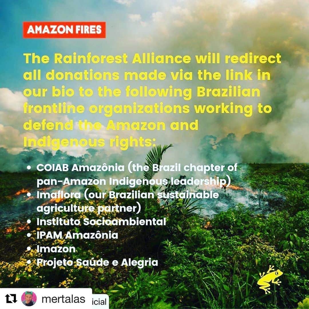 アンナ・デッロ・ルッソさんのインスタグラム写真 - (アンナ・デッロ・ルッソInstagram)「#Repost @mertalas 🙏💔 #Repost @rainforestalliance ・・・ 🚨Amazon S.O.S.🚨THANK YOU to everyone who donated in response to our post yesterday—and to all who have helped raise awareness by sharing our post. We have committed to redirect 100% of these donations to the following frontline groups working to defend the Brazilian Amazon: @coiabamazonia (Brazil chapter of our valued partner COICA, the federation of Amazon Indigenous leaders), @imaflorabrasil (our longtime sustainable agriculture partner), and @socioambiental @ipam_amazonia @imazonoficiel @saudeealegria (Brazilian organizations working to protect the Amazon and defend Indigenous rights). The fires in the Brazilian Amazon have called worldwide attention to the ongoing crisis of tropical deforestation. Although we are devastated by recent surge of fires in the Amazon, we are also heartened by the overwhelming global response to this crisis—signaling growing awareness that 1) tropical forests are a powerful “natural climate solution” we all depend on, and 2) deep concern for the rights of Indigenous people.  This photo from the Brazil-Peru border in the Amazon was taken by @mohsinkazmi in 2015. We post this older image to remind our followers that tropical deforestation is an ongoing global emergency that began in the colonial era and rages on today throughout the Amazon, Indonesia, Central America, and other regions where the Rainforest Alliance works. [In the interest of transparency: our work in the Amazon is concentrated in Peru (in the Brazil border region) and Colombia; our work in Brazil focuses on sustainable agriculture in other landscapes.] Through decades of partnership with Indigenous, forest, and farming communities throughout the tropics, we’ve learned (and scientists have confirmed) that the best defense against deforestation and natural fires = thriving, community-centered rural economies that allow people to make a decent living through sustainable activities. This approach requires deep collaboration and sustained investment over the long term—and it reaps big rewards, as seen in our previous posts about Guatemala. Let’s keep the momentum going!  #prayforamazonia #savetheama」8月23日 19時52分 - annadellorusso