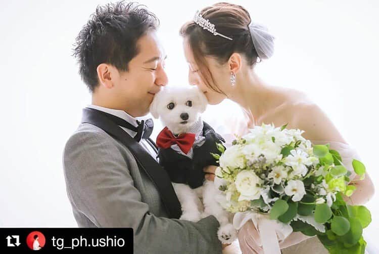 青山迎賓館 AOYAMA GEIHINKANのインスタグラム