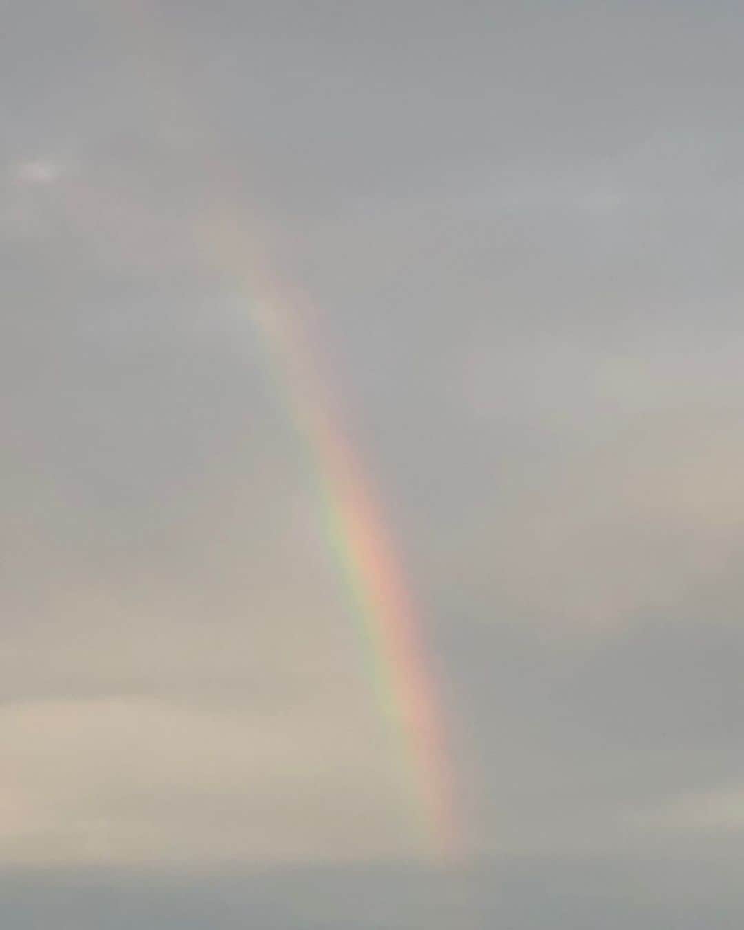 岡安弥生さんのインスタグラム写真 - (岡安弥生Instagram)「夕方、六本木に大きな虹。いいことあるかしら。#虹#六本木#蒸し暑い #きれい#rainbow #roppongi#tokyo」8月23日 20時38分 - yayoin3