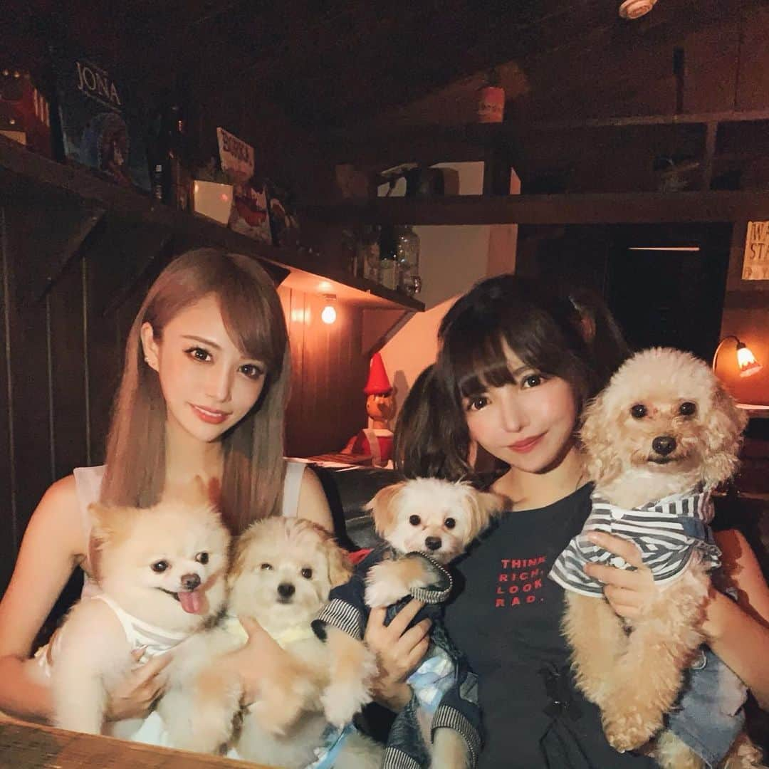 サキ吉さんのインスタグラム写真 - (サキ吉Instagram)「家族会🐶💕💕💕 ． 本当に癒し🥰 パワー注入されました(＊¯ω¯＊) めあたんありがとう💋 ． 夢ツナはそろそろトリミング行かなきゃね🐕ボサボサw ． #犬会 #ポメラニアン #マルプー #ポメマルプー #犬okカフェ  #渋谷」8月23日 21時16分 - sakikichi1201