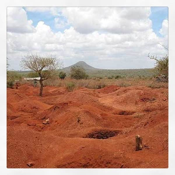 JO BAKERさんのインスタグラム写真 - (JO BAKERInstagram)「J U L I A N N E • H O U G H 🇺🇸 Kenyan conservation hues...on #juliannehough .....I am often inspired by nature and wildlife - but my heart feels heavy for these magnificent giants and their constant battle to co exist and survive.  I’m adding a link in profile to an organization @paulhiltonphoto brought to my attention. Paul Hilton is a conservation photojournalist with a focus on the manta and shark fin trade, palm oil, and wildlife crimes. . . .  so check him out and clink link in profile to support #elephantconservation !! I did.  This look... Rich vibrant dramatic warm earth tones / #keyna is something I must see in person one day but unti then... heres a little collage showing us how mesmerizing nature, #motherearth and elephants are in all there natural glory.  This “go fund me” is for the following.... In partnership with Wildlife Asia and Haka. Rampant poaching for ivory, poisoning, electrocution and human-wildlife conflict have decimated the Sumatran Elephant population in Indonesia. As few as 1000 are left in the wild. We cannot afford to lose any more of these gentle giants. Please help us create Elephant Patrols Units for the protection of Sumatran Elephants in the Leuser Ecosystem - we need to act before it's too late. No amount is too small. 🐘💔 #elephant #elephants #asianelephant #africanelephant  Tap for team credits... #jobakermakeupartist」8月23日 21時49分 - missjobaker