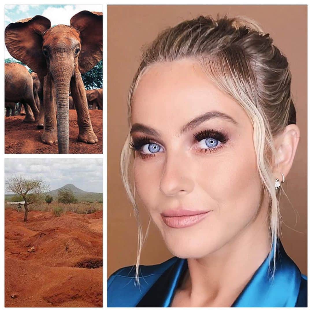 JO BAKERのインスタグラム：「J U L I A N N E • H O U G H 🇺🇸 Kenyan conservation hues...on #juliannehough .....I am often inspired by nature and wildlife - but my heart feels heavy for these magnificent giants and their constant battle to co exist and survive.  I’m adding a link in profile to an organization @paulhiltonphoto brought to my attention. Paul Hilton is a conservation photojournalist with a focus on the manta and shark fin trade, palm oil, and wildlife crimes. . . .  so check him out and clink link in profile to support #elephantconservation !! I did.  This look... Rich vibrant dramatic warm earth tones / #keyna is something I must see in person one day but unti then... heres a little collage showing us how mesmerizing nature, #motherearth and elephants are in all there natural glory.  This “go fund me” is for the following.... In partnership with Wildlife Asia and Haka. Rampant poaching for ivory, poisoning, electrocution and human-wildlife conflict have decimated the Sumatran Elephant population in Indonesia. As few as 1000 are left in the wild. We cannot afford to lose any more of these gentle giants. Please help us create Elephant Patrols Units for the protection of Sumatran Elephants in the Leuser Ecosystem - we need to act before it's too late. No amount is too small. 🐘💔 #elephant #elephants #asianelephant #africanelephant  Tap for team credits... #jobakermakeupartist」