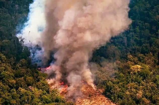 ヤオ・アイニンさんのインスタグラム写真 - (ヤオ・アイニンInstagram)「Pray for Amazonia 😢  雨林是大地之母 那麼多的生命長於其中 我們可以為它祈禱 並且關注檢視一切發生的源頭 這些都是真實正在發生的照片 不是電影動畫裡的未來⋯  願大火早日停息 雨林平靜休養生息⋯  #prayforamazonia」8月23日 21時52分 - ipipy20000