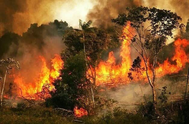 ヤオ・アイニンさんのインスタグラム写真 - (ヤオ・アイニンInstagram)「Pray for Amazonia 😢  雨林是大地之母 那麼多的生命長於其中 我們可以為它祈禱 並且關注檢視一切發生的源頭 這些都是真實正在發生的照片 不是電影動畫裡的未來⋯  願大火早日停息 雨林平靜休養生息⋯  #prayforamazonia」8月23日 21時52分 - ipipy20000