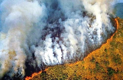 ヤオ・アイニンさんのインスタグラム写真 - (ヤオ・アイニンInstagram)「Pray for Amazonia 😢  雨林是大地之母 那麼多的生命長於其中 我們可以為它祈禱 並且關注檢視一切發生的源頭 這些都是真實正在發生的照片 不是電影動畫裡的未來⋯  願大火早日停息 雨林平靜休養生息⋯  #prayforamazonia」8月23日 21時52分 - ipipy20000