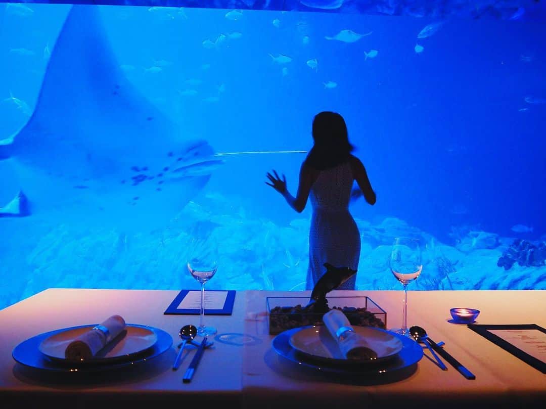 レスレイ・チアンさんのインスタグラム写真 - (レスレイ・チアンInstagram)「Hi, can I live here? 🐠🐟🦈 #Neptunes #OceanPark #Aquarium」8月23日 21時59分 - lesleychianglove