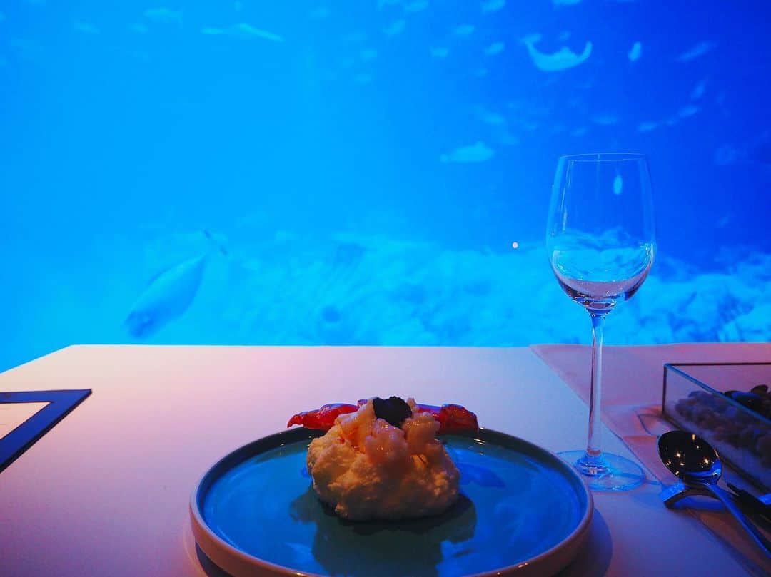 レスレイ・チアンさんのインスタグラム写真 - (レスレイ・チアンInstagram)「Hi, can I live here? 🐠🐟🦈 #Neptunes #OceanPark #Aquarium」8月23日 21時59分 - lesleychianglove