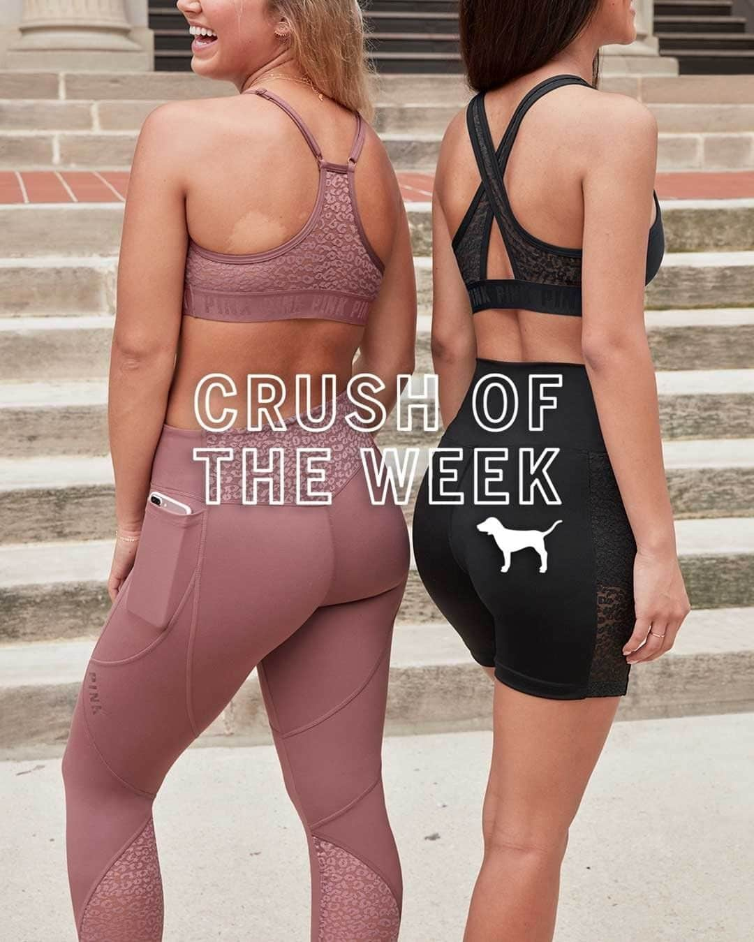 Victoria's Secret PINKさんのインスタグラム写真 - (Victoria's Secret PINKInstagram)「Crush of the Week: Leopard Lace! Spotted on our fave Sports Bras, Leggings & Bike Shorts! 🐆」8月23日 22時01分 - vspink