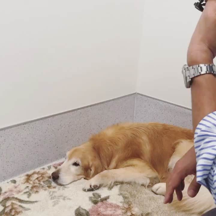 ikumiのインスタグラム