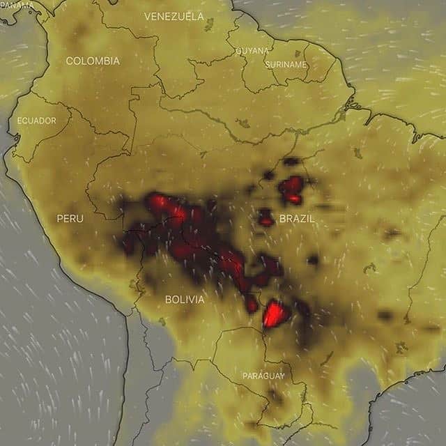 マリオ・テスティーノさんのインスタグラム写真 - (マリオ・テスティーノInstagram)「#Regram @leonardodicaprio @rainforestalliance: The lungs of the Earth are in flames. 🔥 The Brazilian Amazon—home to 1 million Indigenous people and 3 million species—has been burning for more than two weeks straight. There have been 74,000 fires in the Brazilian Amazon since the beginning of this year—a staggering 84% increase over the same period last year (National Institute for Space Research, Brazil). ⁣ The largest rainforest in the world is a critical piece of the global climate solution. Without the Amazon, we cannot keep the Earth’s warming in check. ⁣ ⁣ The Amazon needs more than our prayers. So what can YOU do?⁣ ⁣ ✔ As an emergency response, donate to frontline Amazon groups working to defend the forest. ⁣ ✔ Consider becoming a regular supporter of the Rainforest Alliance’s community forestry initiatives across the world’s most vulnerable tropical forests, including the Amazon; this approach is by far the most effective defense against deforestation and natural forest fires, but it requires deep, long-term collaboration between the communities and the public and private sectors. ✔ Stay on top of this story and keep sharing posts, tagging news agencies and influencers. ⁣ ✔ Be a conscious consumer, taking care to support companies committed to responsible supply chains.⁣ Eliminate or reduce consumption of beef; cattle ranching is one of the primary drivers of Amazon deforestation.⁣ ⁣ #RainforestAlliance #SaveTheAmazon #PrayForAmazonia #AmazonRainforest #ActOnClimate #ForestsResist #ClimateCrisis 📸: @mohsinkazmitakespictures / Windy.com」8月23日 22時39分 - mariotestino