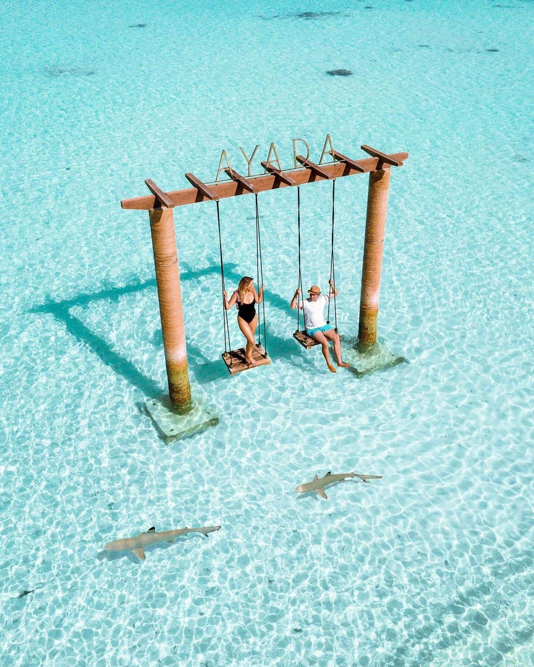 Earth Picsさんのインスタグラム写真 - (Earth PicsInstagram)「A quick swing with sharks in Maldives 🇲🇻 captured by @agirlwhoblooms and btw her photos are truly amazing, you’ll want to leave and start traveling once you see every photo she shared ♥️♥️」8月23日 22時53分 - earthpix