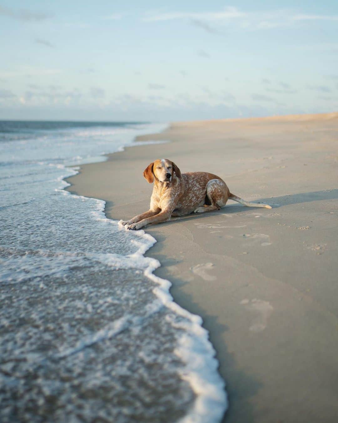 マディのインスタグラム：「Wasn’t expecting to have 20 miles of beach all to ourselves, I haven’t seen another person in 2 days」