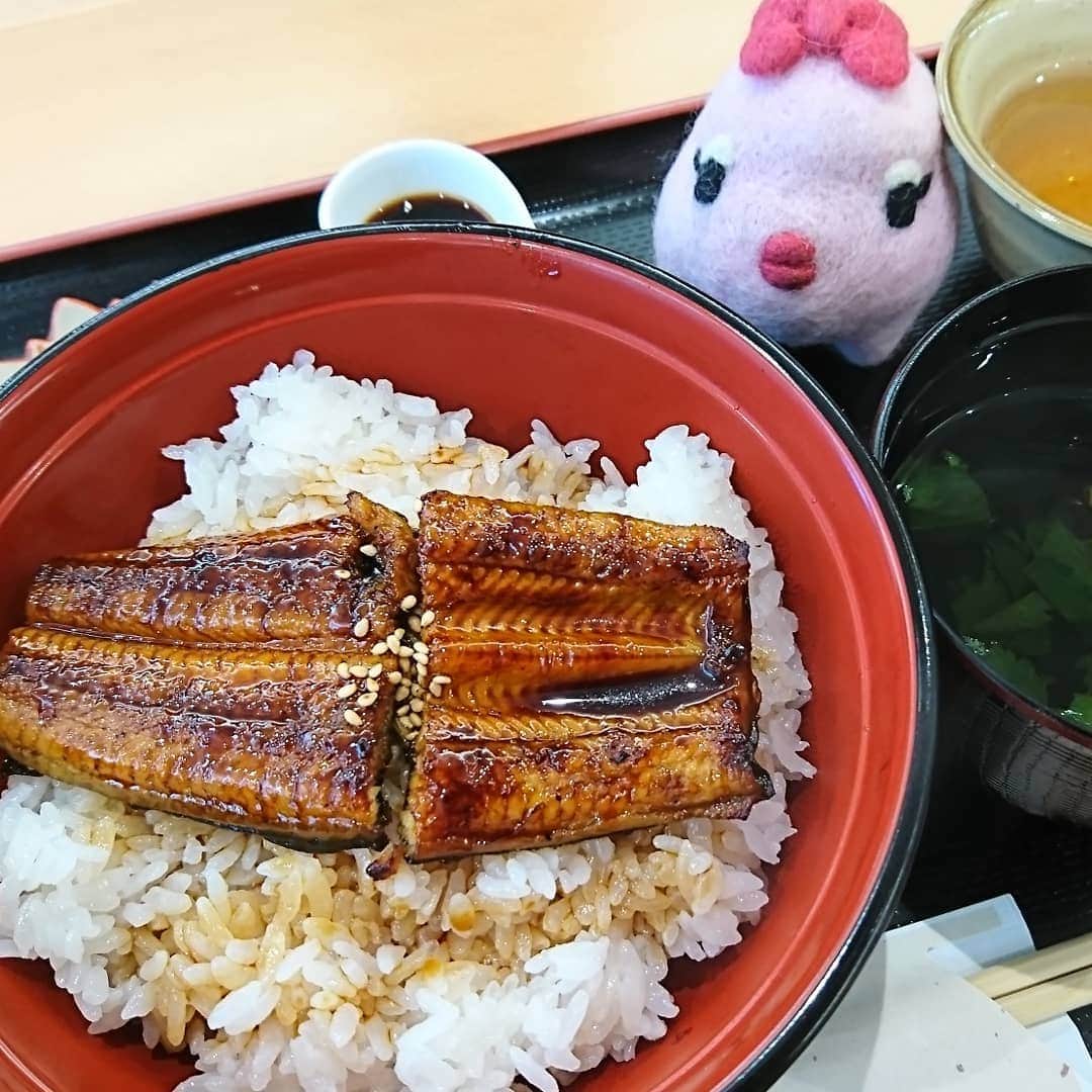 南日本新聞フェリアのインスタグラム