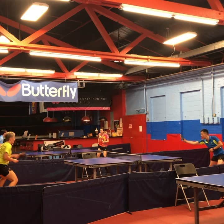 マチルダ・エコームのインスタグラム：「Back to practice & @ettu_official championships prep 👊 Swipe right for some time-lapse action 💨  #pingpong #tabletennis #nyc #newyork #athlete #pingpongplayer #tabletennisplayer #butterflyofficial @butterflyttofficial」