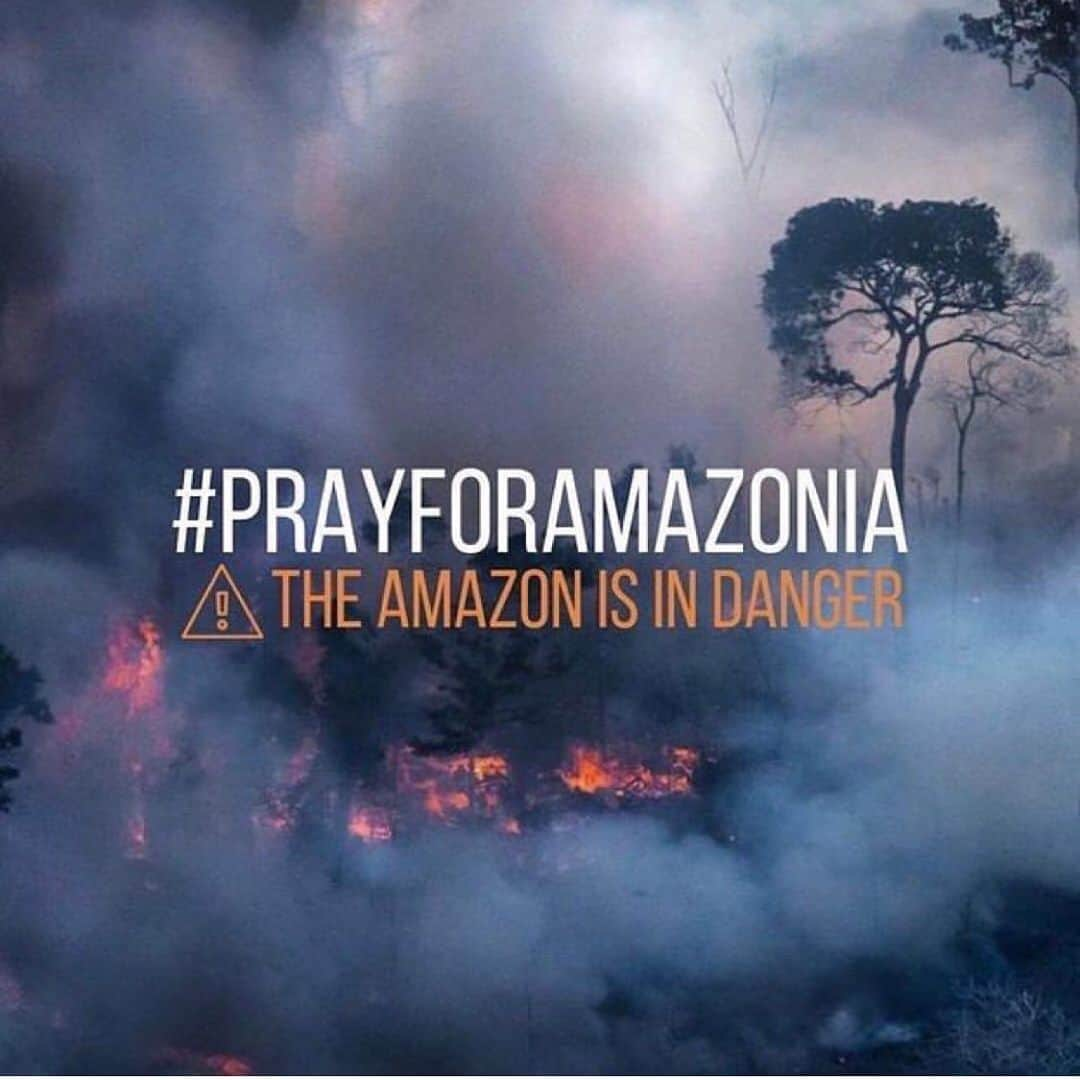 フー・ビンさんのインスタグラム写真 - (フー・ビンInstagram)「Shocking news of Amazon fires lately has not been known to people around the world after three weeks of happening. Looking through all the images and statistics, I couldn’t help myself from imagining what will happen in the near future. It has been the hottest five consecutive years in the history of mankind, and the cause is very clear. The time has become so crucial that blaming anyone will be no use but to ACT NOW.  #amazonfires #amazon #rainforest #wildlife #nature #deforestation」8月23日 23時32分 - hubing