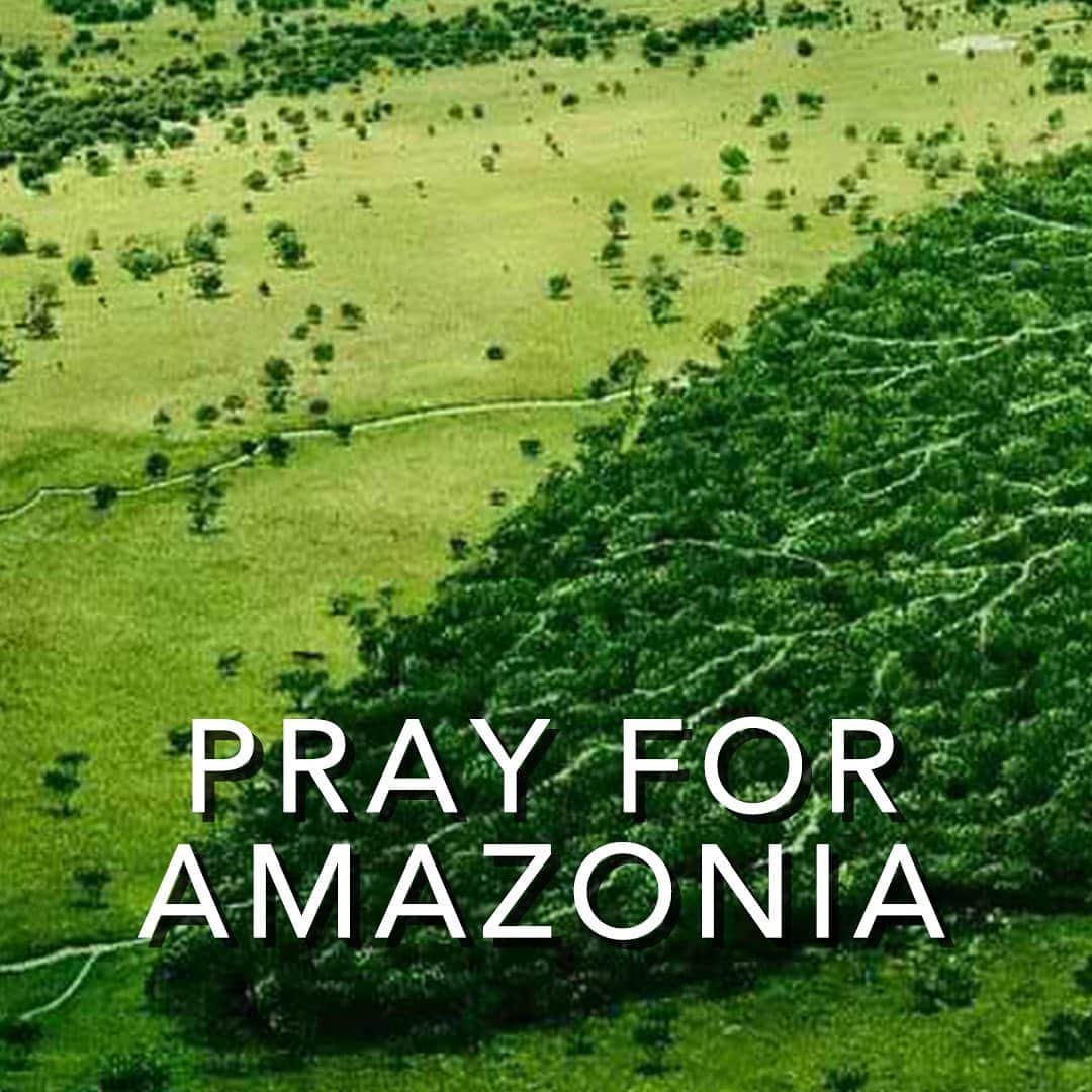 フー・ビンのインスタグラム：「Shocking news of Amazon fires lately has not been known to people around the world after three weeks of happening. Looking through all the images and statistics, I couldn’t help myself from imagining what will happen in the near future. It has been the hottest five consecutive years in the history of mankind, and the cause is very clear. The time has become so crucial that blaming anyone will be no use but to ACT NOW.  #amazonfires #amazon #rainforest #wildlife #nature #deforestation」