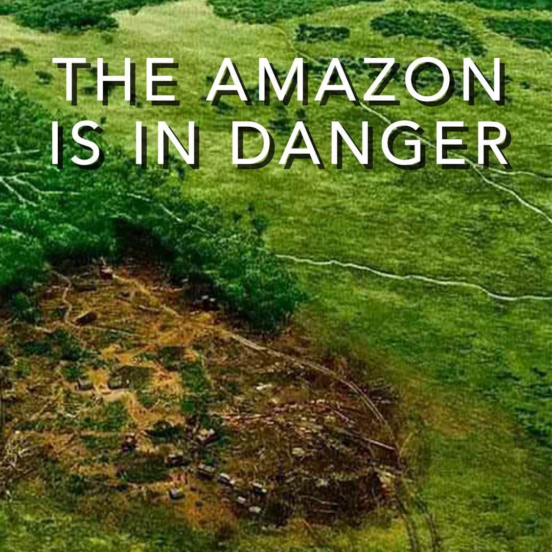 フー・ビンのインスタグラム：「The earth is not crying, it’s choking and suffocating. Who’s fault? It’s really not the time to discuss such issue but to start protecting the environment in a sustainable way in order to avoid catastrophic global crisis. I am a fan of all kinds of Sci-fi movies but the last thing for me, for you, to see is to witness the same thing happening to our very world.  #amazonfires #amazon #rainforest #wildlife #nature #deforestation」