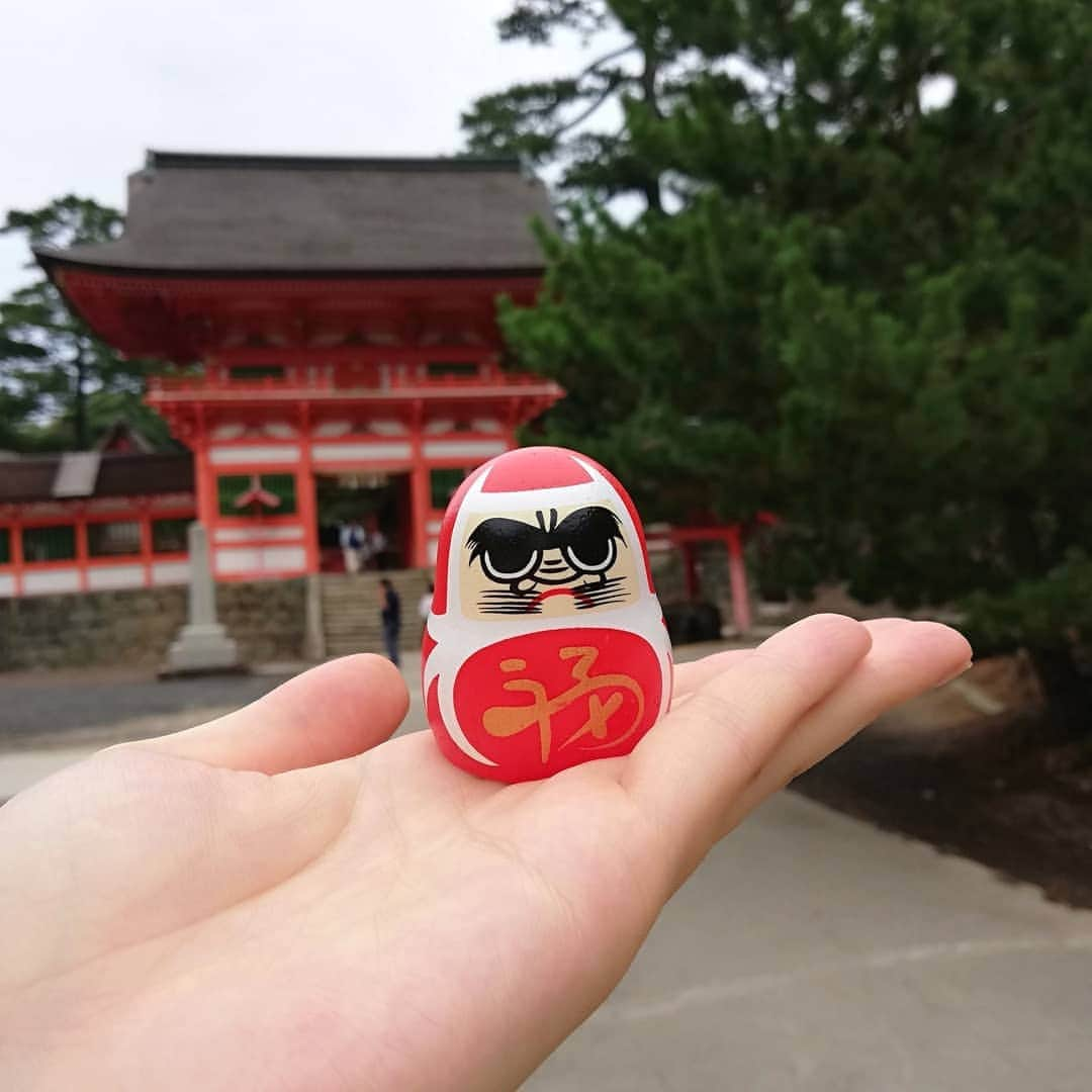 池田裕子さんのインスタグラム写真 - (池田裕子Instagram)「日御碕神社の可愛いだるまみくじ。 引こうと手を伸ばしたら一体のだるまがコロンと下に落ちたので、そいつを選びました😉神のお告げだな😏  #日御碕神社 #島根 #だるま #だるまみくじ #おみくじ」8月23日 23時31分 - kurimushiyoukan