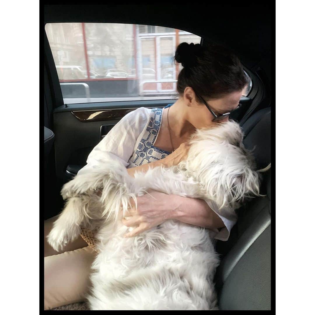 ミシェル・フォーブスさんのインスタグラム写真 - (ミシェル・フォーブスInstagram)「...have I mentioned how much I love this little ol’ man? ⭐️⭐️⭐️⭐️⭐️ #henry #lifewithhenry #ilovemymutt #doggo #dogoftheworld #dogsofbudapest #budapest #buda #dogsofinsta #dogsofinstagram #dogstagram #adoptdontshop」8月23日 23時39分 - iammichelleforbes