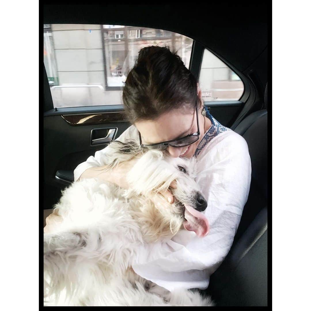ミシェル・フォーブスさんのインスタグラム写真 - (ミシェル・フォーブスInstagram)「...have I mentioned how much I love this little ol’ man? ⭐️⭐️⭐️⭐️⭐️ #henry #lifewithhenry #ilovemymutt #doggo #dogoftheworld #dogsofbudapest #budapest #buda #dogsofinsta #dogsofinstagram #dogstagram #adoptdontshop」8月23日 23時39分 - iammichelleforbes