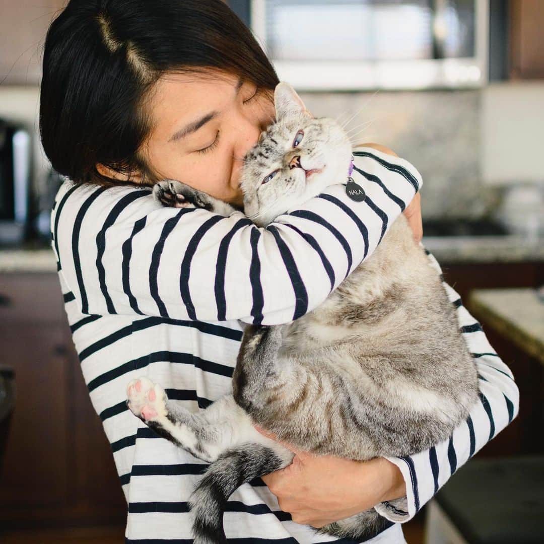 nala_catさんのインスタグラム写真 - (nala_catInstagram)「Hug someone you love today❤️」8月24日 0時05分 - nala_cat