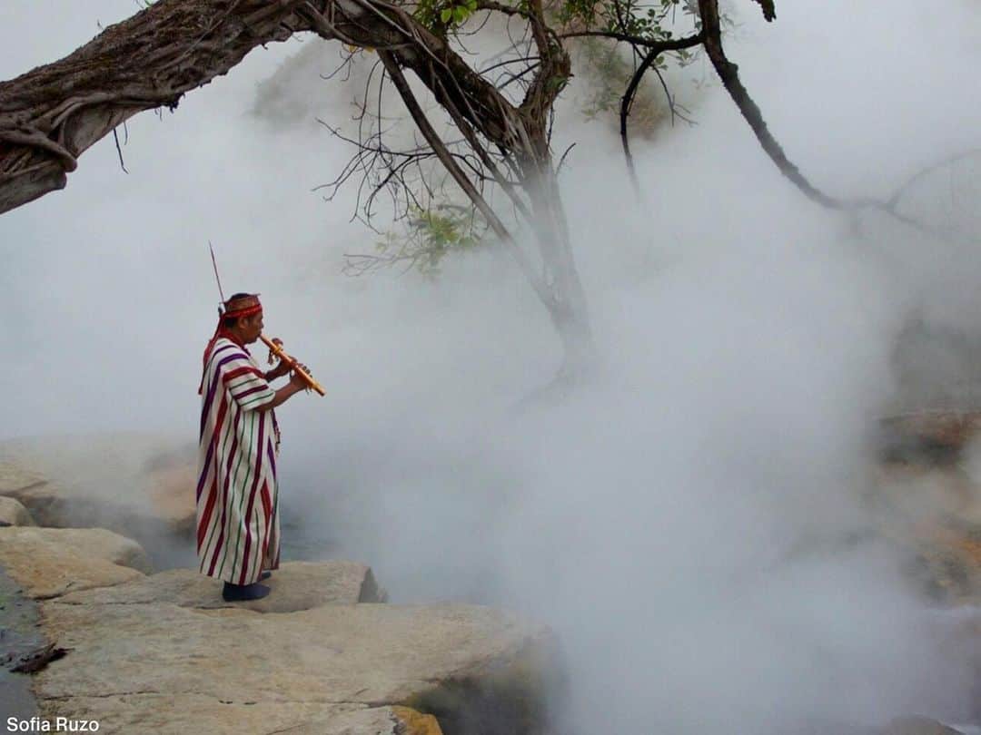 TED Talksのインスタグラム：「There is a river, deep in the Amazon, that boils. It’s aptly called the Boiling River, and it’s a mysterious body of water that reaches 97 degrees Celsius (207 degrees Fahrenheit). This is not a river you’ll want to swim in — simply touch it and you’ll get third degree burns. For Asháninka healers like Maestro Juan (shown in the photo), the water is sacred and full of healing powers. For geoscientist Andres Ruzo, it is a unique geothermal phenomenon that must be protected. “My goal is to ensure that whoever controls this land understands the boiling river's uniqueness and significance,” he says. “We define significance. We are the ones who draw that line between the sacred and the trivial.” To learn more about the Boiling River, visit the link in our bio to watch @andresruzo’s #TEDTalk.  Photo by Sofía Ruzo」