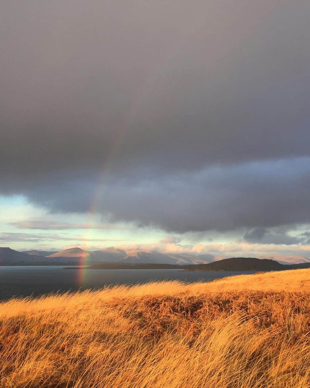 appleさんのインスタグラム写真 - (appleInstagram)「“It’s hard to know where to start with Scotland. I love how the weather is rarely the same two days running, how you can go from relative emptiness to beautiful, deserted beaches. It’s bleak in winter, lush in summer and an endless source of photographic inspiration. I consider myself lucky to live here.” #scotland #ShotoniPhone by Lucy H. @loosemooose」8月24日 0時58分 - apple