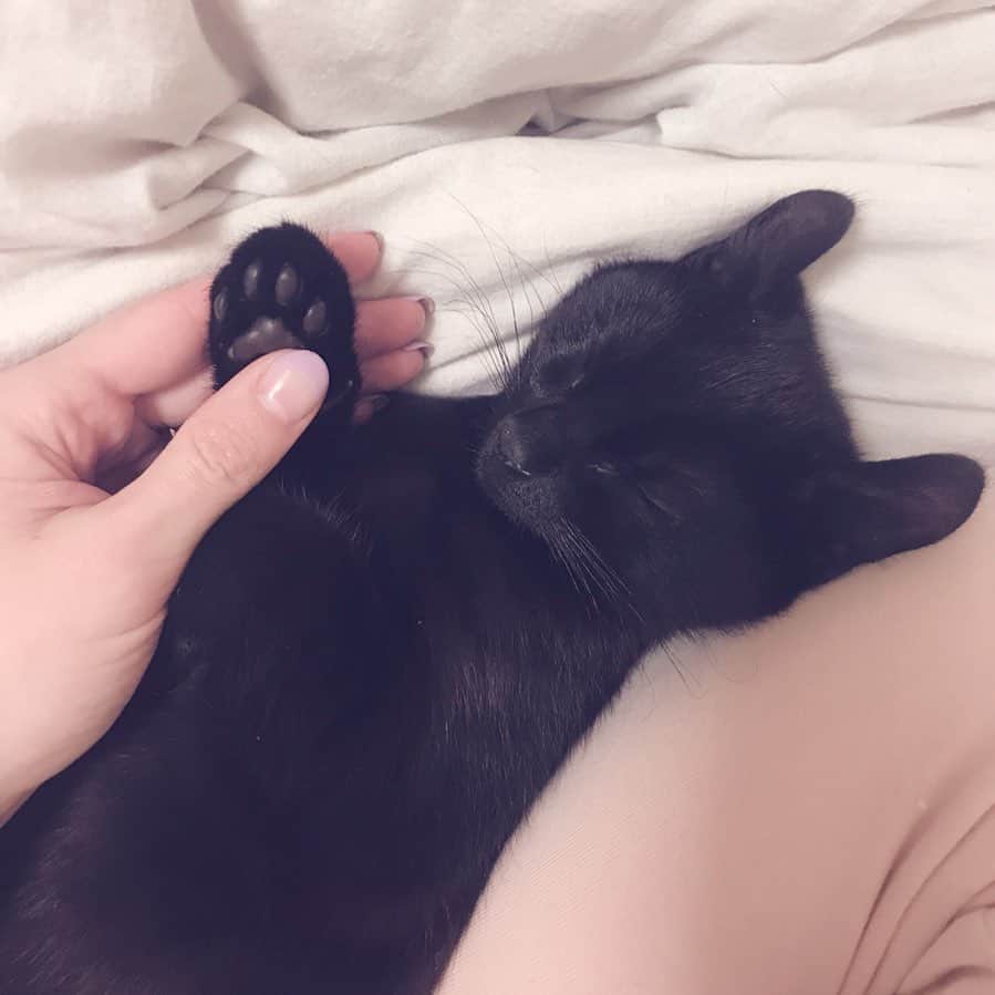 mimeiのインスタグラム：「miss you」