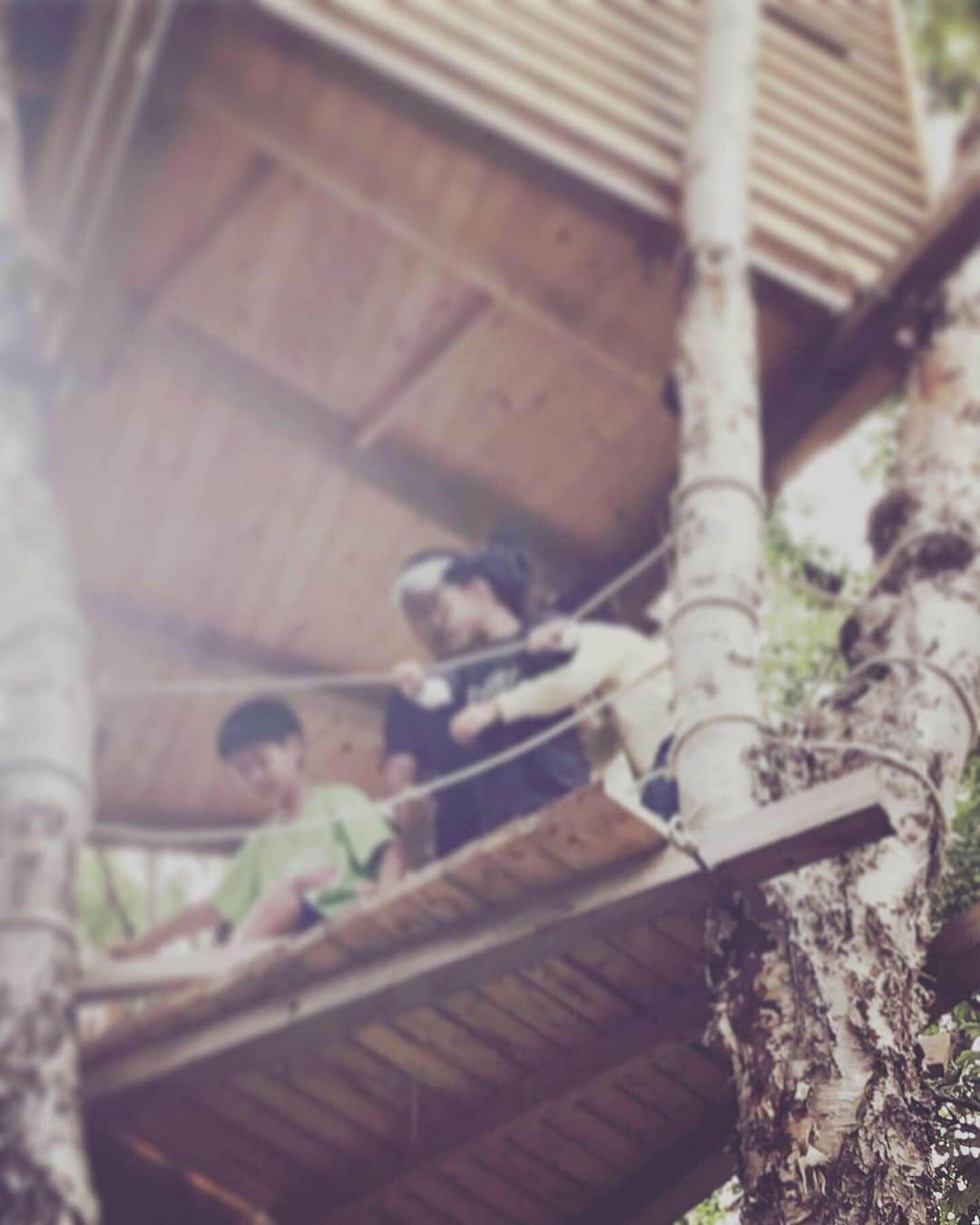 伊藤裕子さんのインスタグラム写真 - (伊藤裕子Instagram)「山の中、木の上にあるツリーハウス！ 北海道の知人が、１人で作ったもの。なんて素敵なの✨ 近くの木を倒して、ツリーに立て掛け、チェンソーで切れ込みを入れて板を置きつける。それに登って、また切れ込みを入れて、、、一つ一つの作業で作られた階段は本当に立派で素敵なんです。 小学生の頃から、夏休みの自由研究 はいつも燃えていたらしい。 もうこれ、究極の自由研究だ！！！ #北海道 #ツリーハウス #男の夢 #自由研究 #娘は大喜び #上から見た景色は素敵な」8月24日 11時55分 - yukoito_official