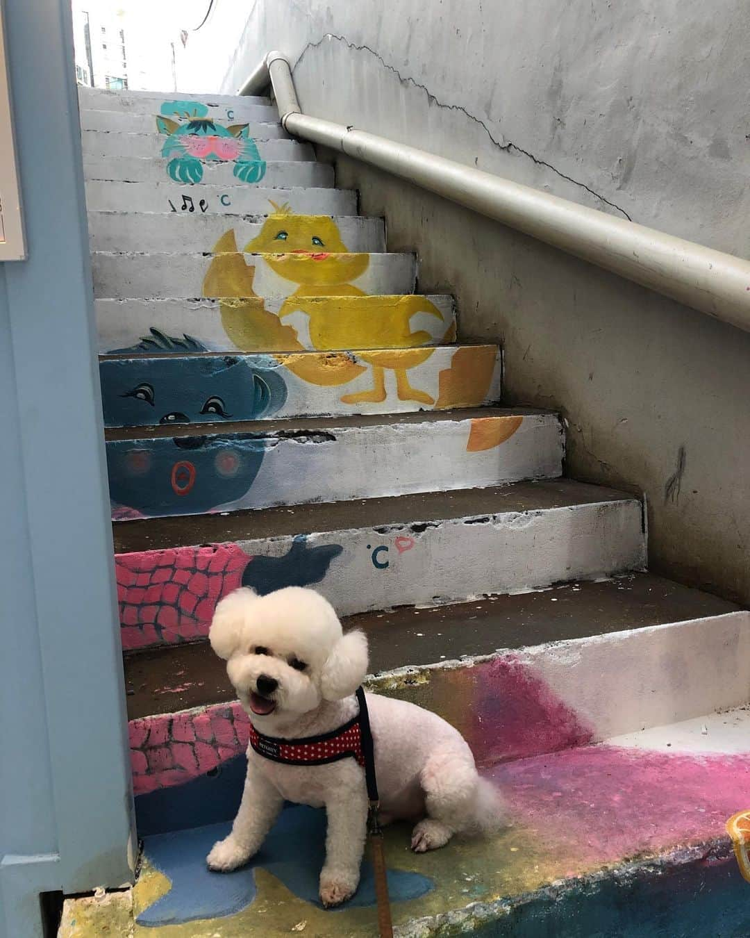 セフン さんのインスタグラム写真 - (セフン Instagram)「Vivi」8月24日 3時06分 - oohsehun