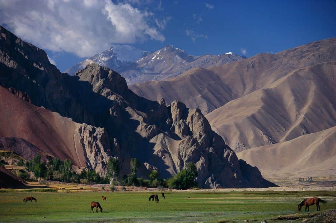 Michael Yamashitaさんのインスタグラム写真 - (Michael YamashitaInstagram)「Horses graze freely in the lush meadows in this valley, unaware of the snow-capped Pamir mountains brushing the sky at the border of Afghanistan, Pakistan, and China. Over those mountains lay Marco Polo’s destination, the fabled empire of China. From my book on Marco Polo. Going through my archives and working on a new, expanded Silk Road project.  #Afghanistan #WakhanCorridor #horses #pamirmountains」8月24日 3時08分 - yamashitaphoto