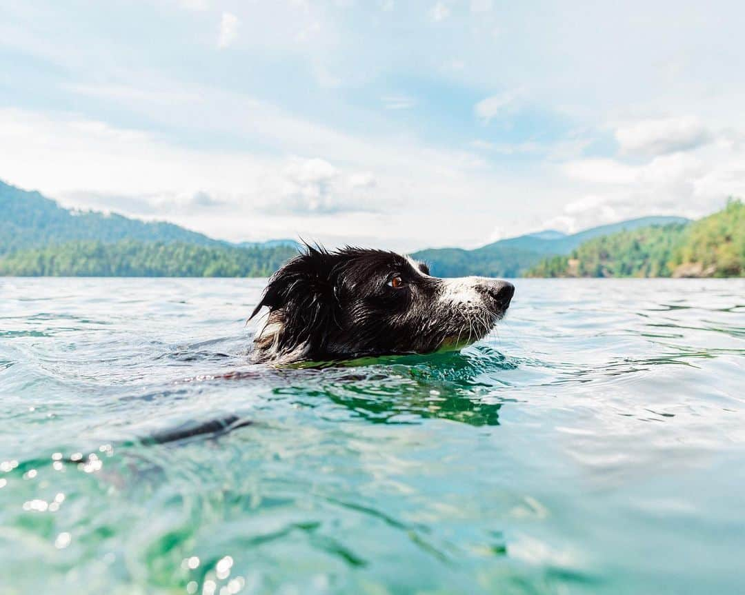 Andrew Knappさんのインスタグラム写真 - (Andrew KnappInstagram)「Just trying to stay afloat over here. ⁣ ⁣ I have two questions for you about social media: ⁣ What does it do for you?⁣ What do you want it to do for you in the future?」8月24日 3時38分 - andrewknapp