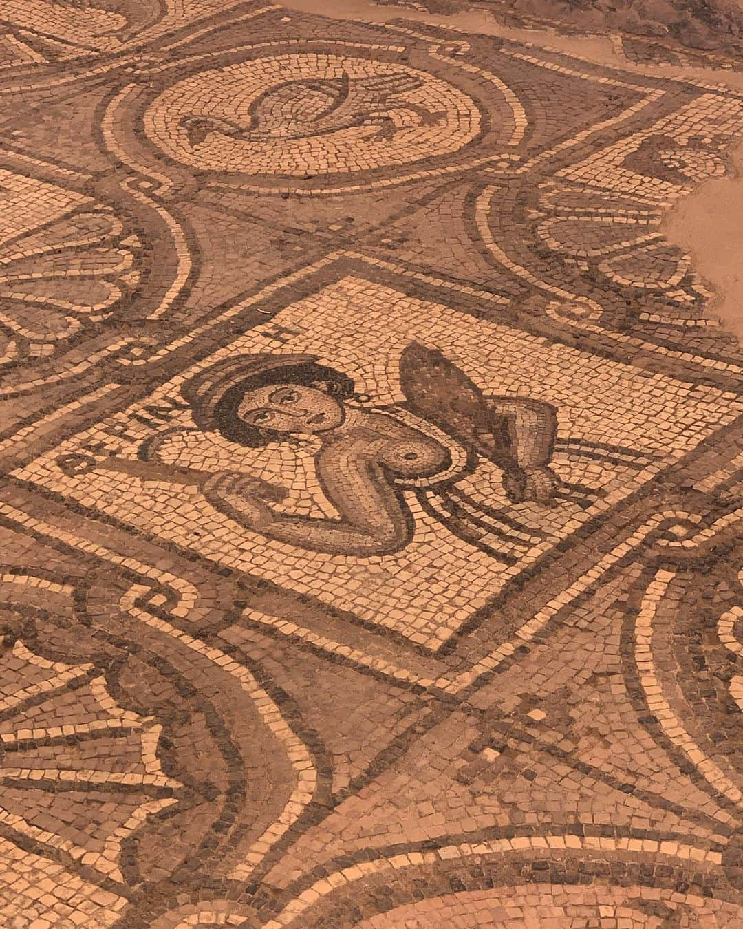 ジョン・コルタジャレナさんのインスタグラム写真 - (ジョン・コルタジャレナInstagram)「Over two thousand years ago, women were considered by the Nabateans to be goddesses for their capacity to give life. In this mosaic you can see this woman represented as summer - the lightest and most fruitful part of the year. I still consider women to be goddesses for not only their ability to give life, but a million other reasons that I am constantly in awe of.  Who runs the world...!? It seems that the Nabateans had ideas much more modern than ours at times」8月24日 4時47分 - jonkortajarena