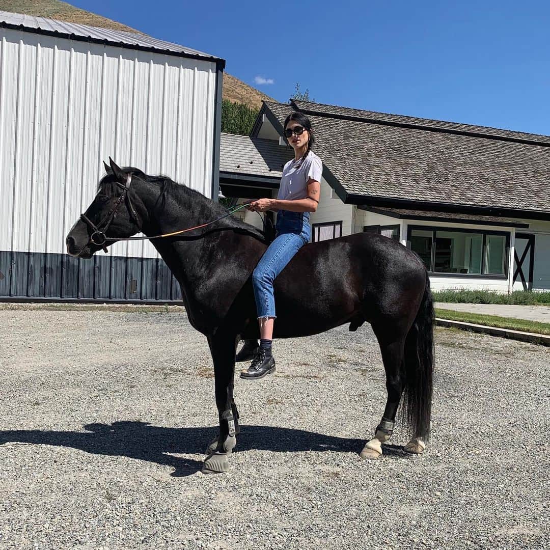ラングリー・フォックスのインスタグラム：「Save a horse, ride a cowboy 🐎」