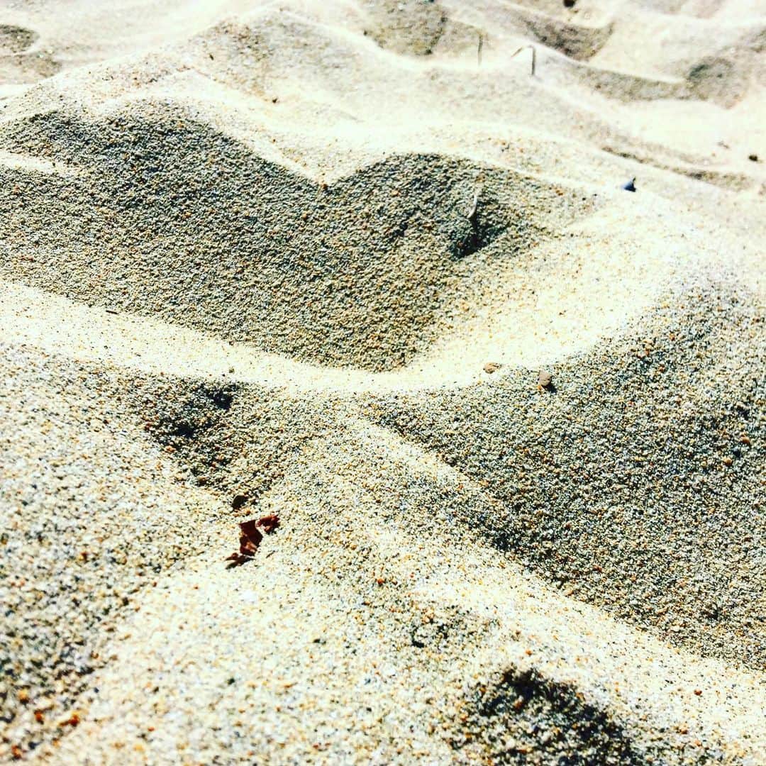 渋谷慶一郎さんのインスタグラム写真 - (渋谷慶一郎Instagram)「砂漠にきました(嘘)」8月24日 7時32分 - keiichiroshibuy