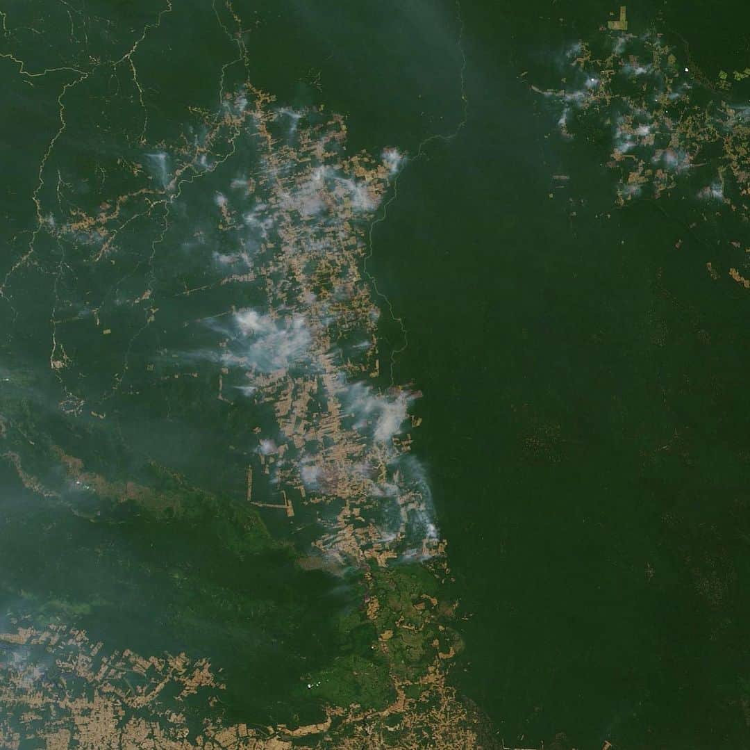 NASAさんのインスタグラム写真 - (NASAInstagram)「August 2019 is continuing an active Amazon fire season, with large and intense fires burning in the region. NASA satellites tracked actively burning fires across South America and captured images of smoke in the last week. So far, in 2019, the region is experiencing more fires, with more intense burns, than in recent years.⁣⁣ ⁣ Credits: NASA Earth Observatory images by Joshua Stevens, using MODIS data from NASA EOSDIS/LANCE and GIBS/Worldview, Fire Information for Resource Management System (FIRMS) data from NASA EOSDIS, and data from the Global Fire Emissions Database (GFED).⁣ ⁣⁣ #nasa #amazon #amazonia #fire #earth #satelliteimagery ⁣⁣ ⁣」8月24日 9時20分 - nasa