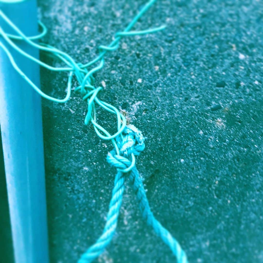 中野敬久さんのインスタグラム写真 - (中野敬久Instagram)「#絡まる #紐 #針金 #tangled #rope #wire #street #blue」8月24日 9時53分 - hirohisanakano