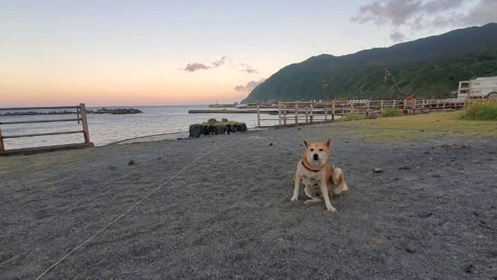 森口彩乃のインスタグラム