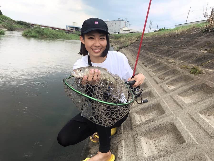 石川文菜さんのインスタグラム写真 - (石川文菜Instagram)「. . . . 今日は琵琶湖へと流れる色んな川でハス釣りをしました🎣 . . . 2年前に雑誌【つり人】で初めてハス釣りを経験したんですが、それ以来ぶり😂 . . 引きが強いからすごく楽しいですよ😍 . 写真2＆3枚目のように婚姻色がついていると雄🏋️‍♂️ ルアーでこのハスのカラーリングをよく見るけど、本物はこれかぁ(･∀･)とまじまじ見てしまうほどキレイな色✨ . 何ヶ所か回りましたが、EGG CAST TOUGHYでやるのも楽しそう！ (ミノーをちょんちょんちょんっと操作する方がよく釣れたので、SOFTYよりも操作重視のTOUGHYがいいかなと🤔) . 本湖ではなく川でハスを狙うならコサジもおすすめ💁‍♀️ . . . . 使用したタックルは ロッド…BPM-63UL-2 リール…2000番台 ライン…フロロカーボンライン5lb ルアー…トリコロールミノー各サイズ ※よくあばれるので、フックのかえし部分を潰しておくと口から外しやすいですよ💁‍♀️ . #pic #photo #fishing #fishinglife #fishinggear #jackall #琵琶湖 #ハス釣り」8月24日 20時02分 - bun0404