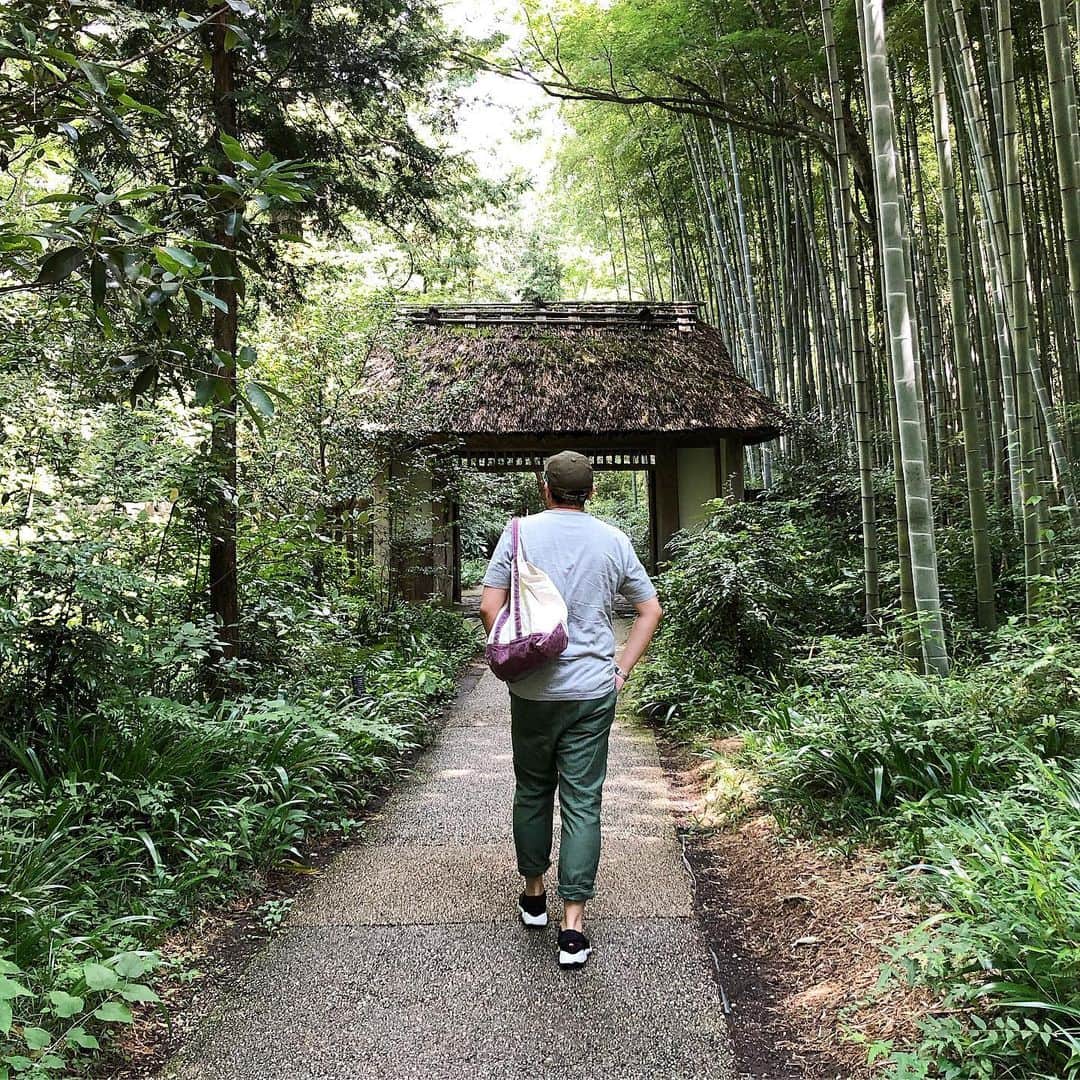 tomonashiのグルメインスタ
