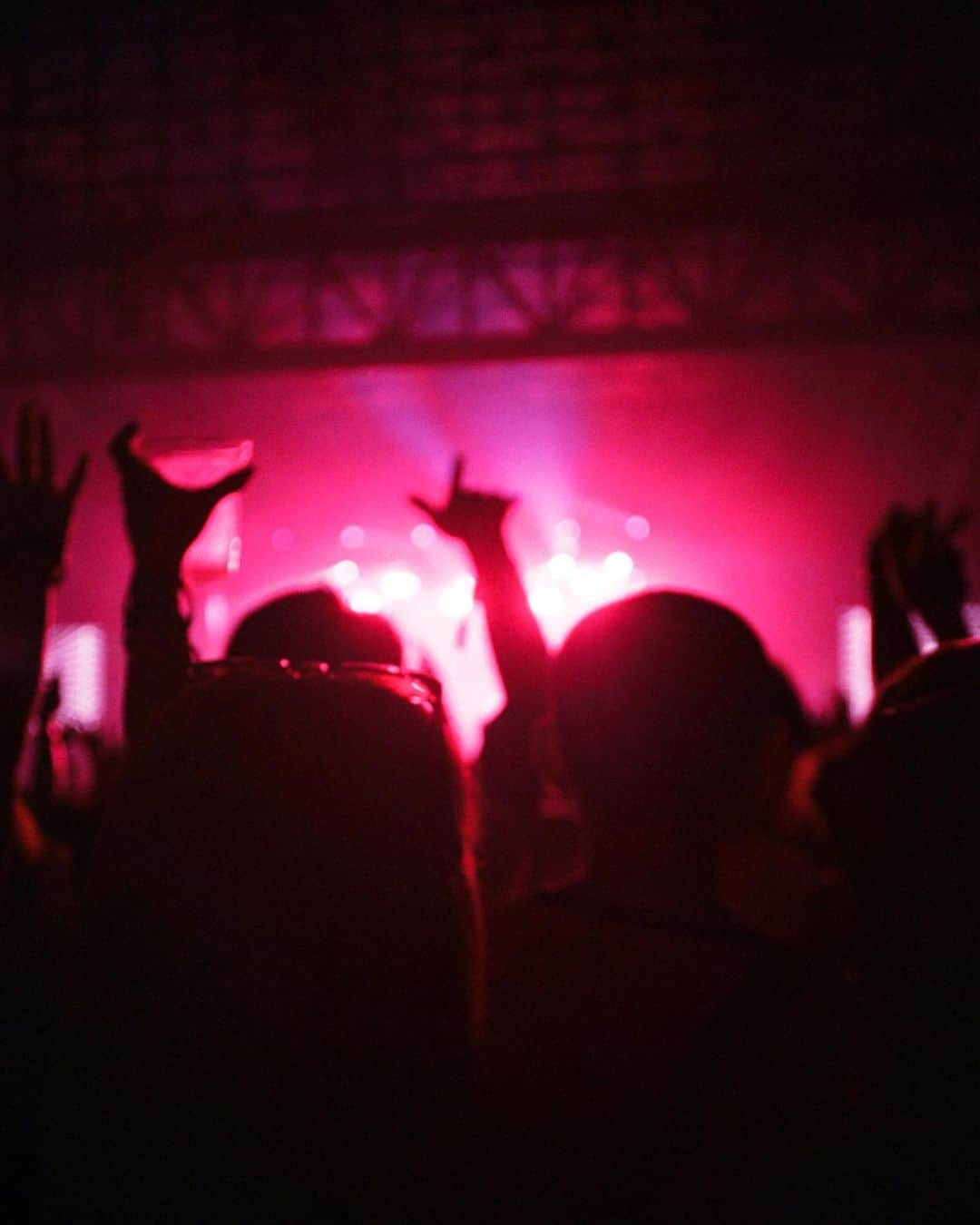 クロウド・モーガンさんのインスタグラム写真 - (クロウド・モーガンInstagram)「SUMMER SONIC 2019 今年はこのお二人と🍎🍎 ソニマニからの参戦、サカナクション最高だった。😭」8月24日 20時32分 - claude0417