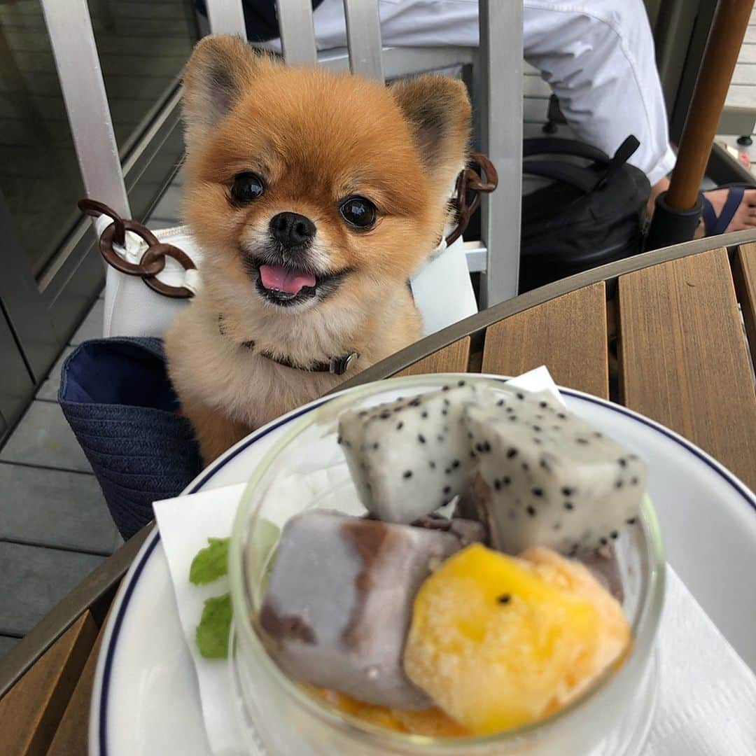 Mika Jimboのグルメインスタ