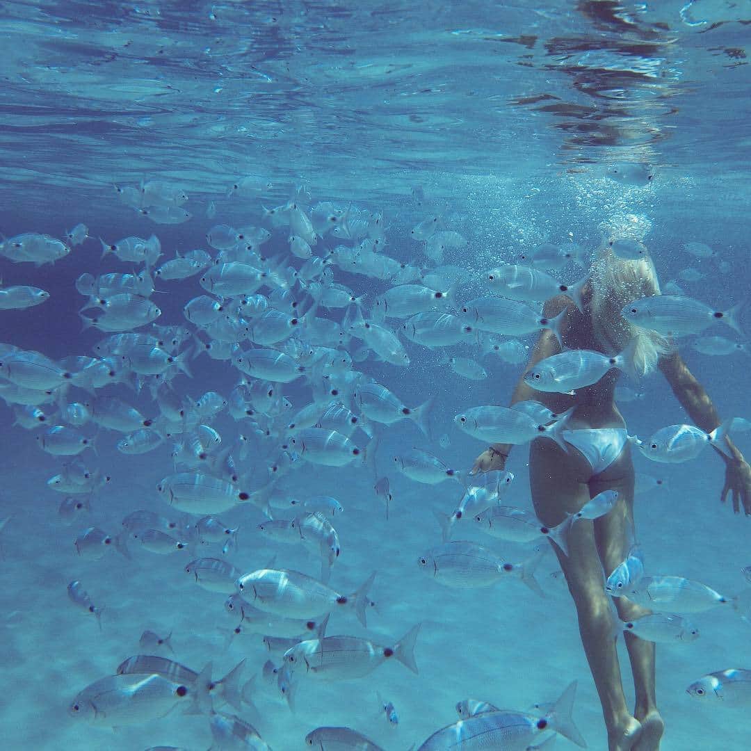 エレスさんのインスタグラム写真 - (エレスInstagram)「Lost in a sea of tropical fish wearing the Profit brief. Picture by @munozmireiafernandez  #relaxing #summertime #inspiration #bathing #swiminstyle #eresparis」8月24日 21時15分 - eres