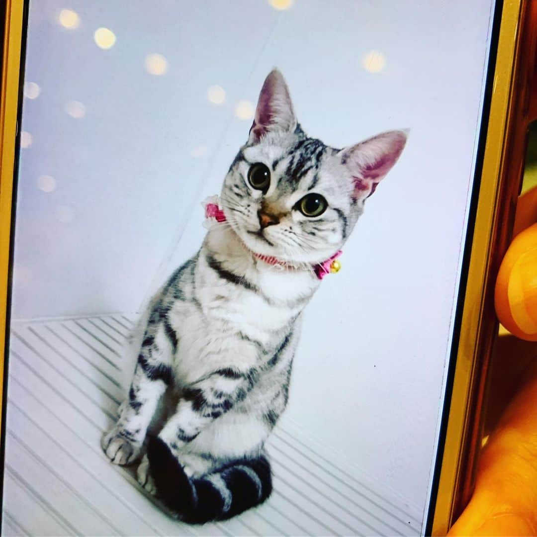 TBSラジオ「ナイツのちゃきちゃき大放送」のインスタグラム