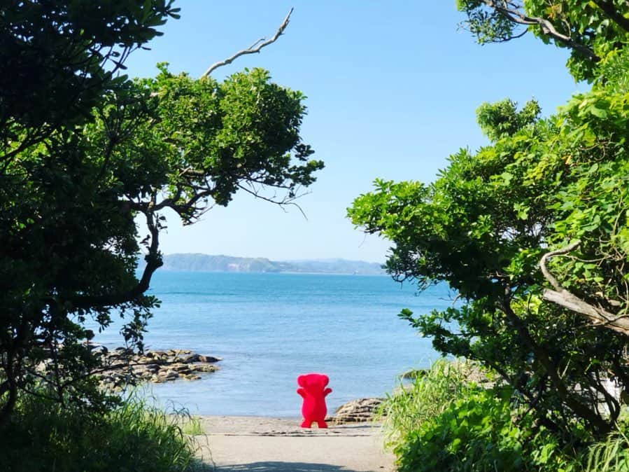 のインスタグラム：「とびきりわくわくの探検！ #歩いて渡れる島  #お船にオーイ ！ #木のトンネル  #潮溜まりウォッチング👀  #絶景スポット  #海 #島 #探検  #チーバくん  #chibakun  #千葉県  #chiba  #館山市  #沖ノ島  #沖ノ島公園 ・ ・ 後編へ#つづく ！ ※春撮影」
