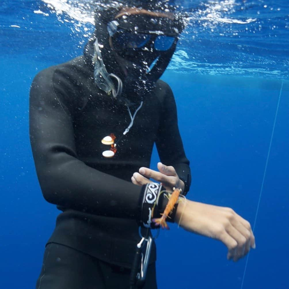 福田朋夏さんのインスタグラム写真 - (福田朋夏Instagram)「ヒカル @hkr_1225_freediving に懐くフレンドリーな海老🦐✨ こんなに深い所まで泳いできたのか、流されちゃったのか、休む場所を探してたのかな？ 可愛かった😍💕 #freediving #deeptraining #okinawa #ocean #oceanlife @alchemy_hellas」8月24日 14時36分 - tomoka_fukuda