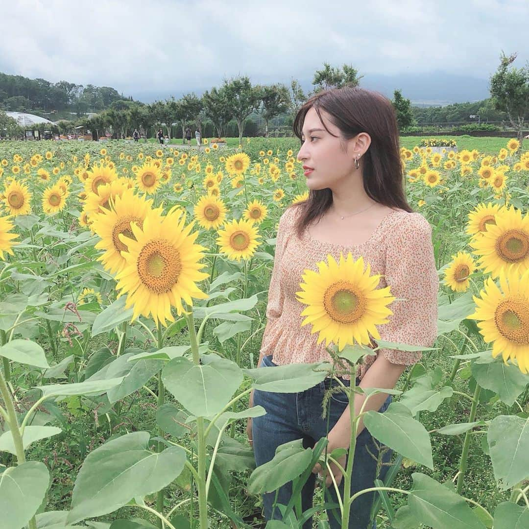 平田梨奈さんのインスタグラム写真 - (平田梨奈Instagram)「自然たくさん感じれたよ🌻 #sunflower #summer #夏 #ひまわり #ひまわり畑 #マリーゴールド #hirafashion #hiraflower」8月24日 14時45分 - hirari_official